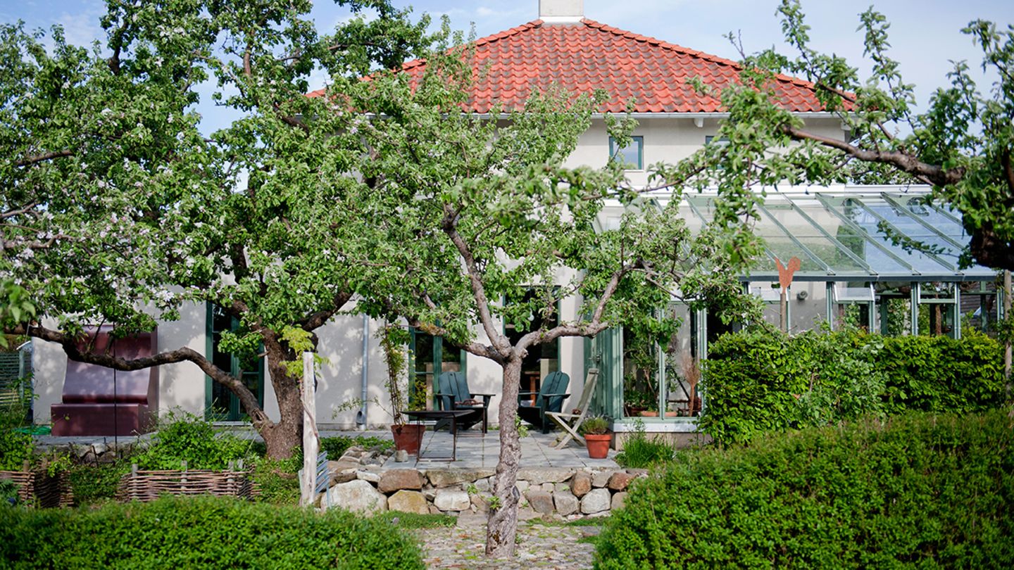 Kleine Bäume für den kleinen Garten [SCHÖNER WOHNEN]