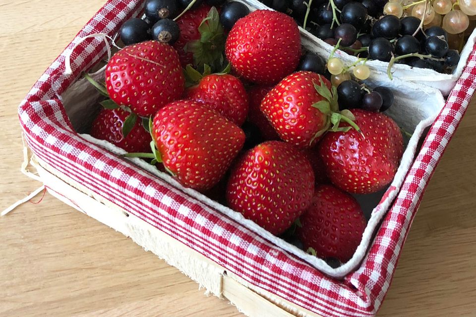 Erdbeeren Früchte