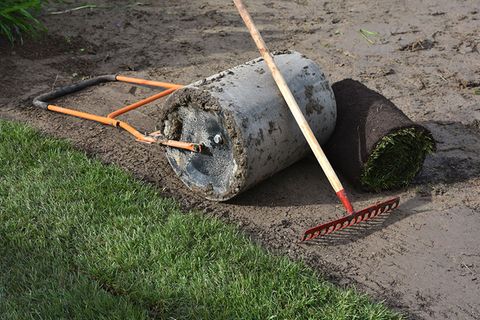 Rollrasen verlegen Wie's geht, was es kostet [SCHÖNER WOHNEN]