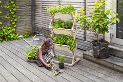 Klappbares Gartenbeet "Vertical Garden" von Urbanature
