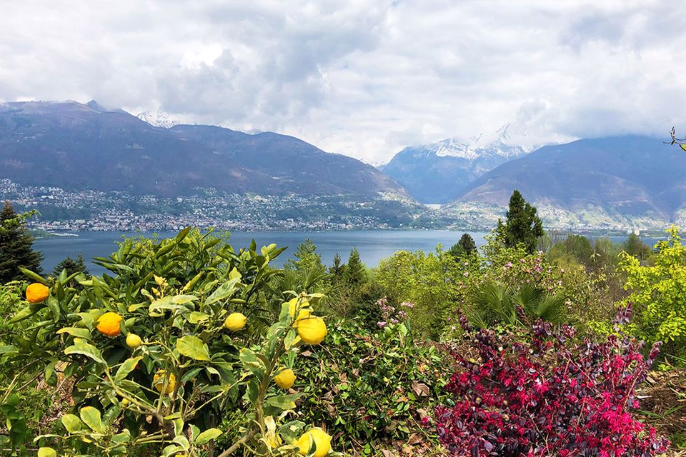 Botanischer Garten am Lago Maggiore [SCHÖNER WOHNEN]