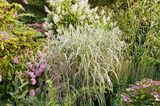 Great Dixter Garten