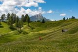 Südtirol: Pusterstal, Armentarawiesen