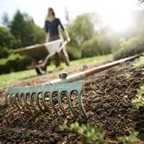 Blumenerde im Backofen sterilisieren [SCHÖNER WOHNEN]