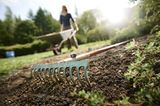 Rasen säen: den Boden vorbereiten