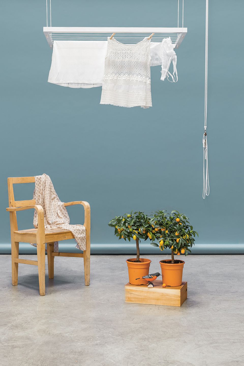 Wandhängender Wäscheständer "Hangbird" - Bild 5 - [SCHÖNER WOHNEN]