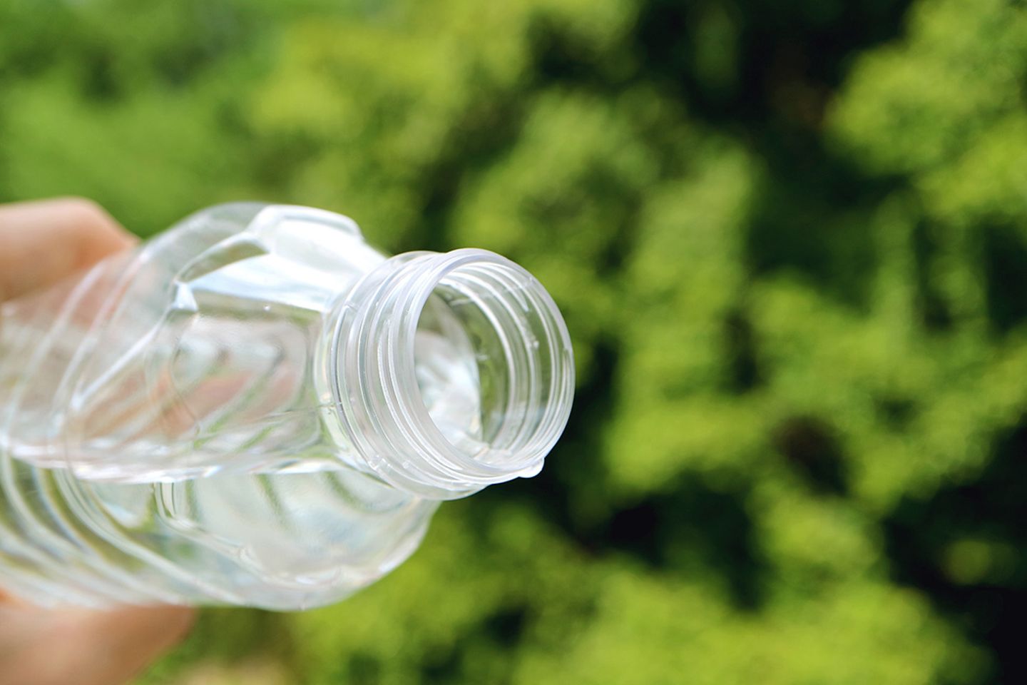 Lifehack: Blumen gieen mit PET-Flasche - [SCHNER WOHNEN]