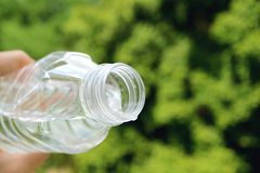 Blumen und Pflanzen bewässern im Urlaub: Lifehack mit PET-Flasche