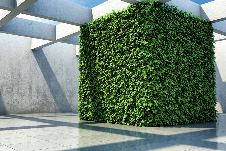 Pflanzenwürfel als grünes Element - Bild 15 - [SCHÖNER WOHNEN]