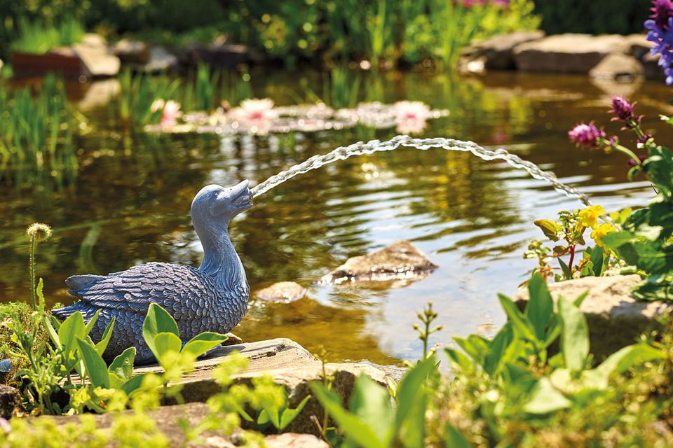 Gartenteich als MiniBiotop [SCHÖNER WOHNEN]