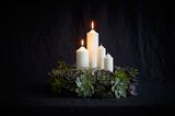 Adventskranz mit vier weißen Kerzen aus Sukkulenten