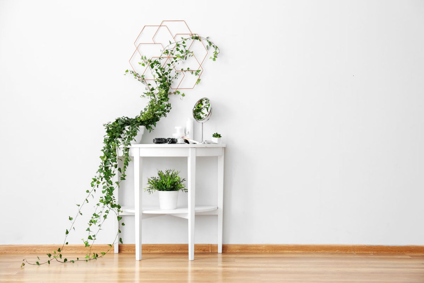 elefantenohr blätter hängen Alocasia Zebrina (Elefantenohr) (L) kaufen? | Ollie main image 0