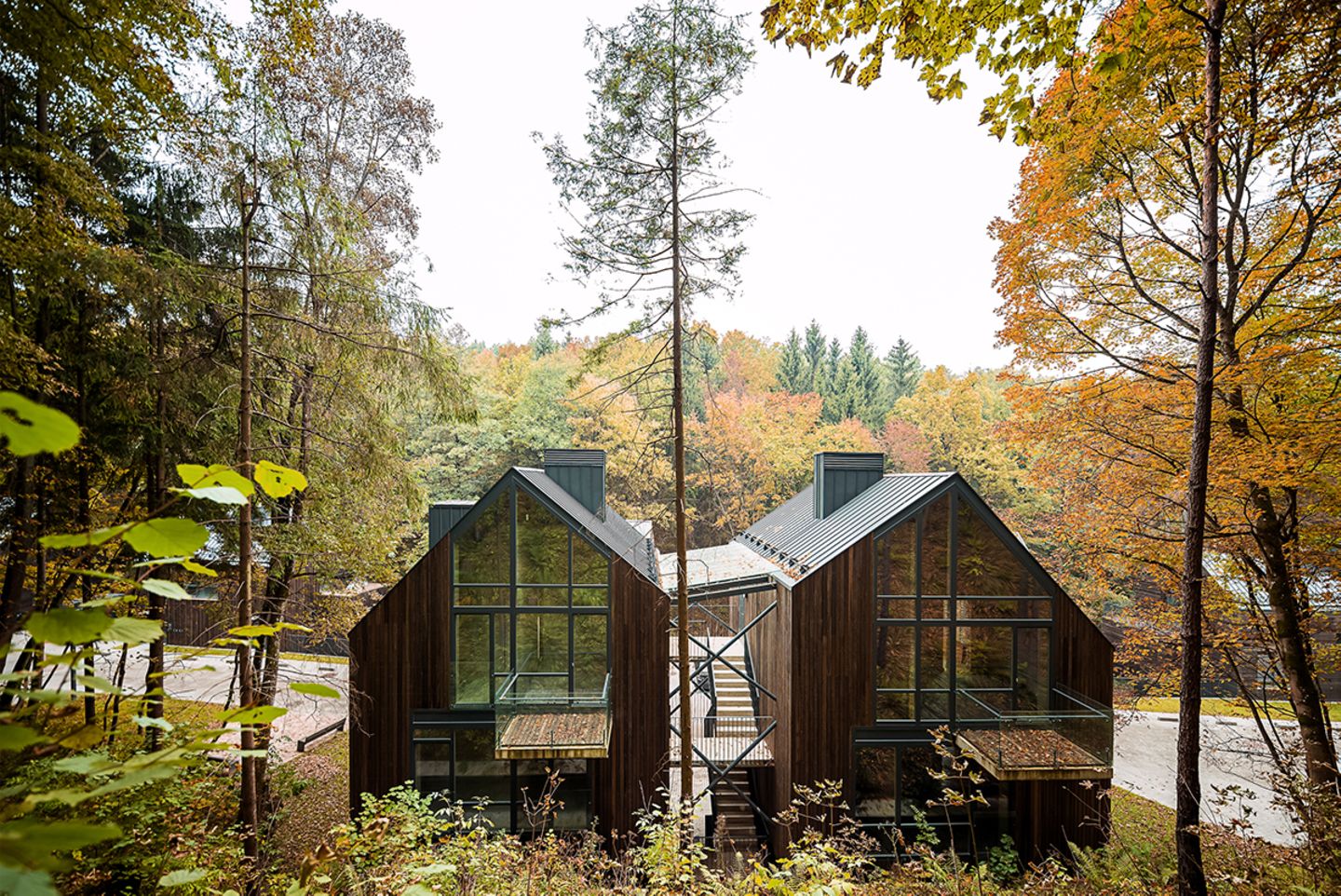 Häuser Award 2020 - A House in the Forest