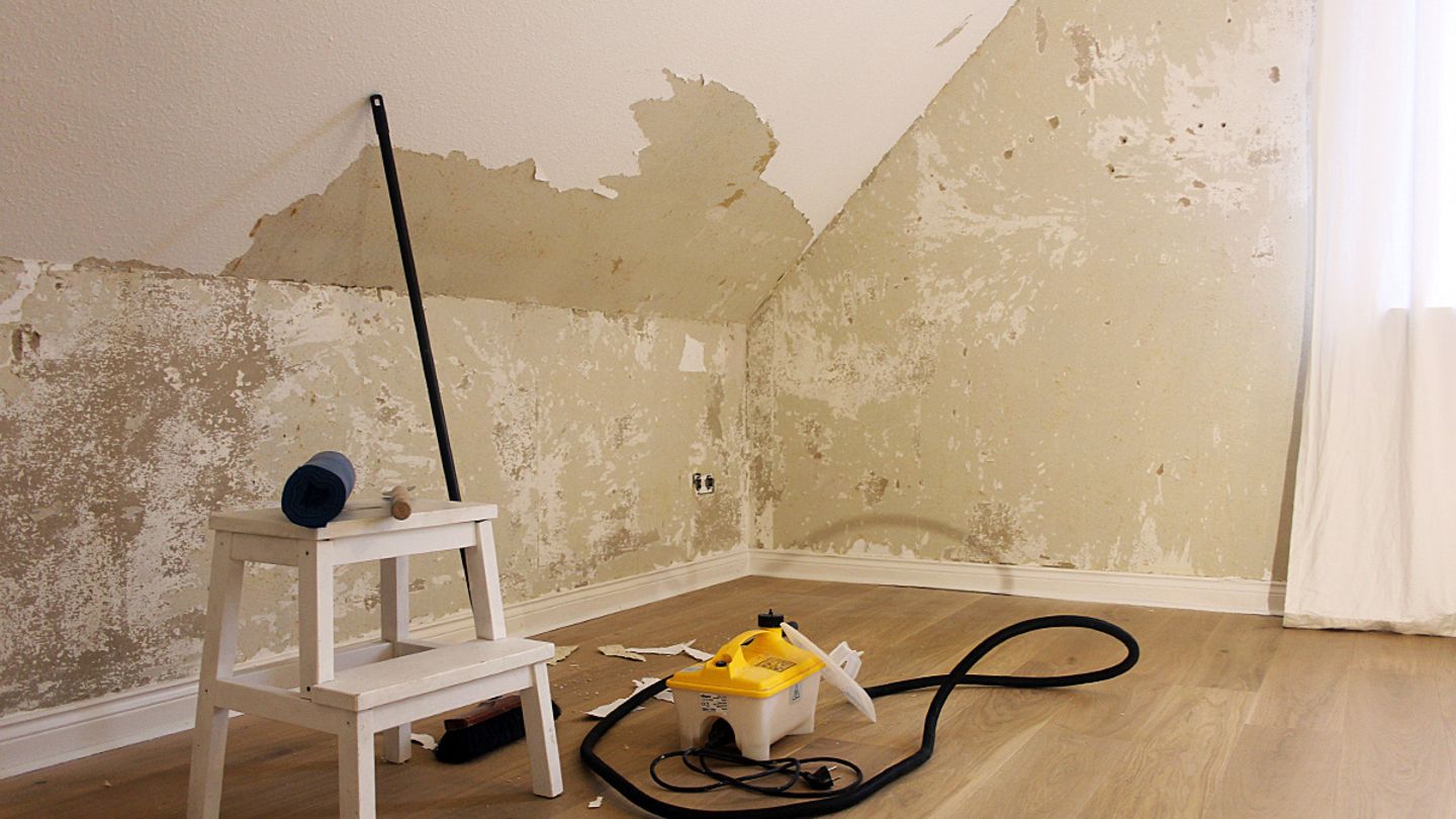 eibe richtig pflanzen Eibe kaufen – immergrüne Heckenpflanze main image 0