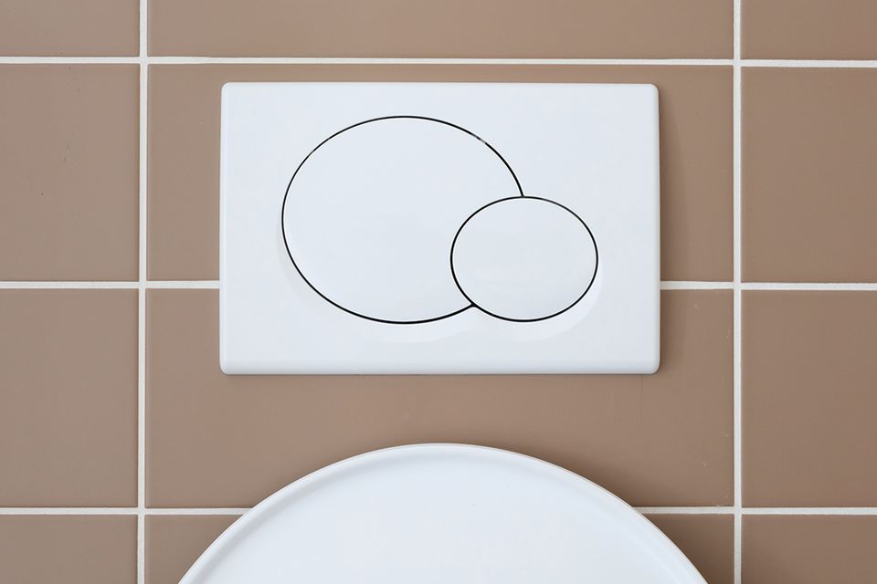 Der Toilettenspülknopf Keimschleuder Toilettenspülknopf