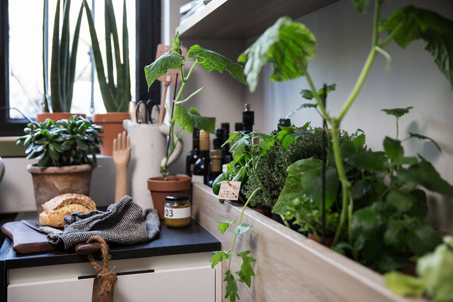 compo rasendnger unkraut Rasendnger mit Unkrautvernichter 5 kg  Purgrn