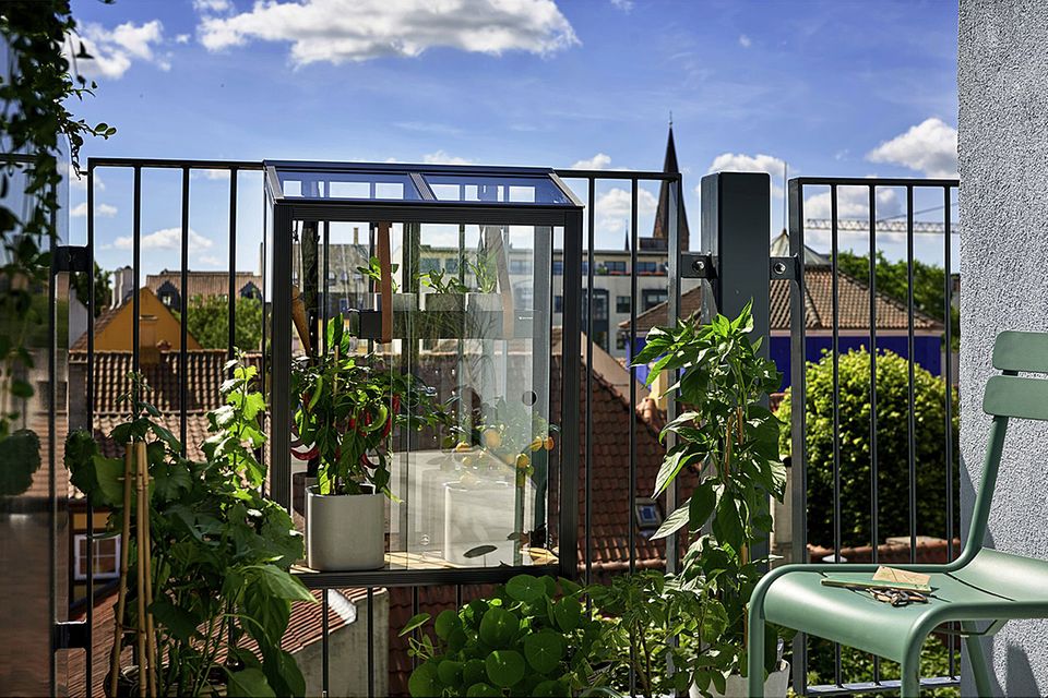 Gewächshaus für den Balkon [SCHÖNER WOHNEN]