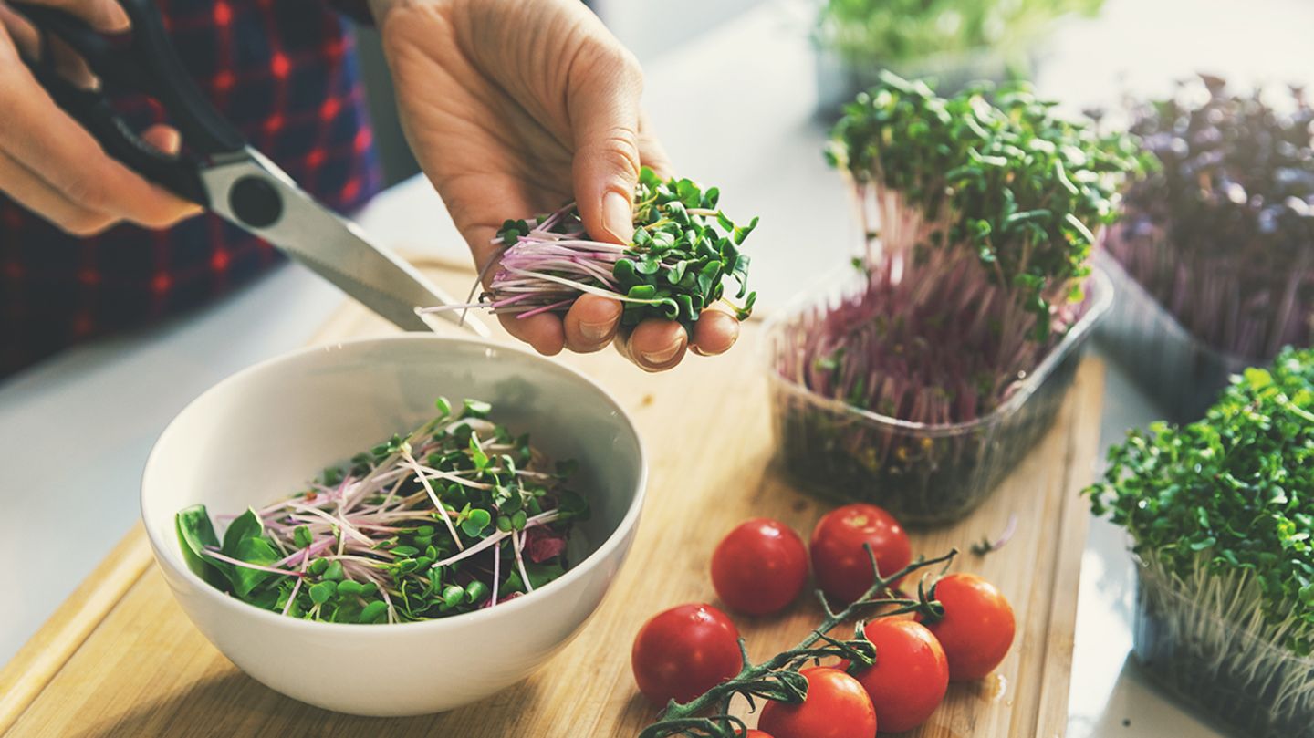 Microgreens für die Küche [SCHÖNER WOHNEN]