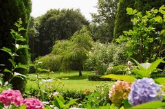 Garten mit großer Rasenfläche, Hortensien im Vordergrund und zahlreichen Bäumen im Hintergrund