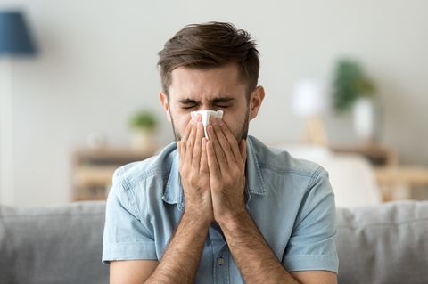 Putztipps Allergiker