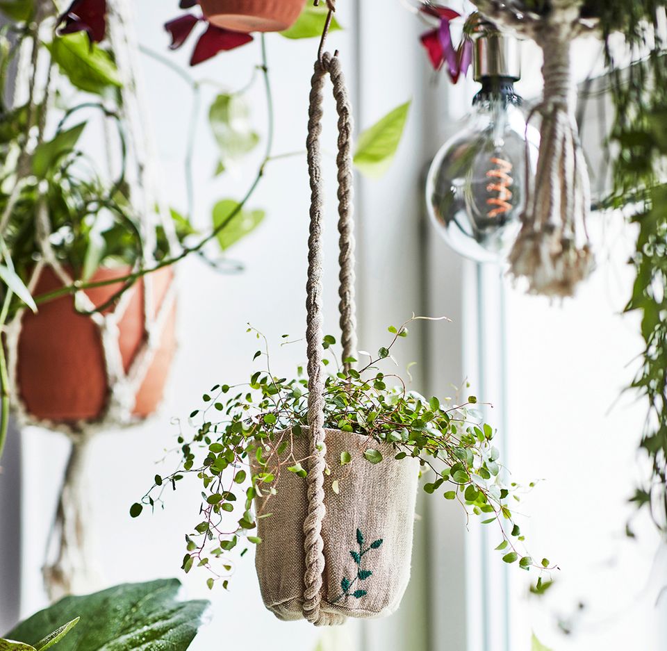 Die "Botanisk"-Kollektion von Ikea: Feine Dinge fr Pflanzen-Fans -  [SCHNER WOHNEN]