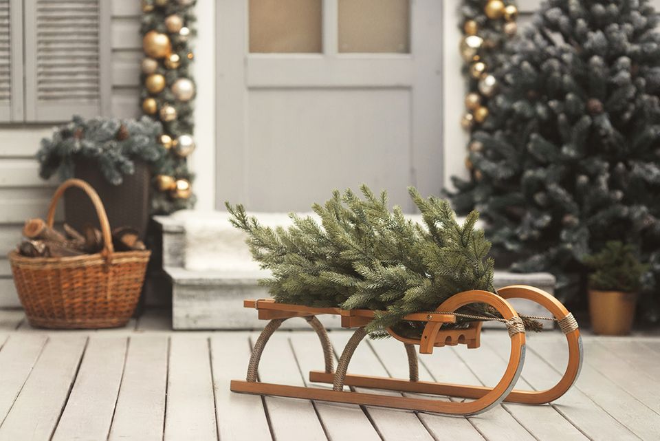 Dekorierter Schlitten als Weihnachtsdeko [SCHÖNER WOHNEN]