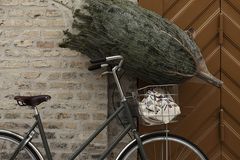 Weihnachtsbaum im Netz, der auf dem Lenker eines Fahrrades liegt