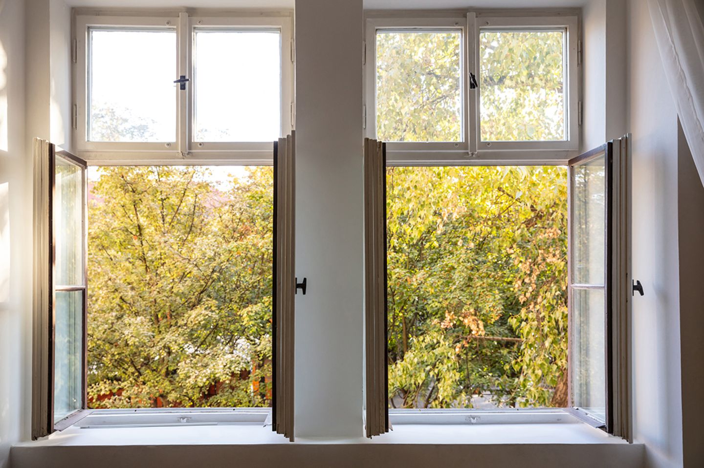 Zwei offene Doppelfenster, draußen ist Herbstlaub zu sehen