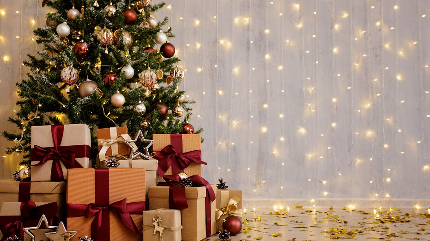 Nordmann-Tanne Geschenke Nikolaus für den Advent zum Weihnachtsfest zu Christmas 