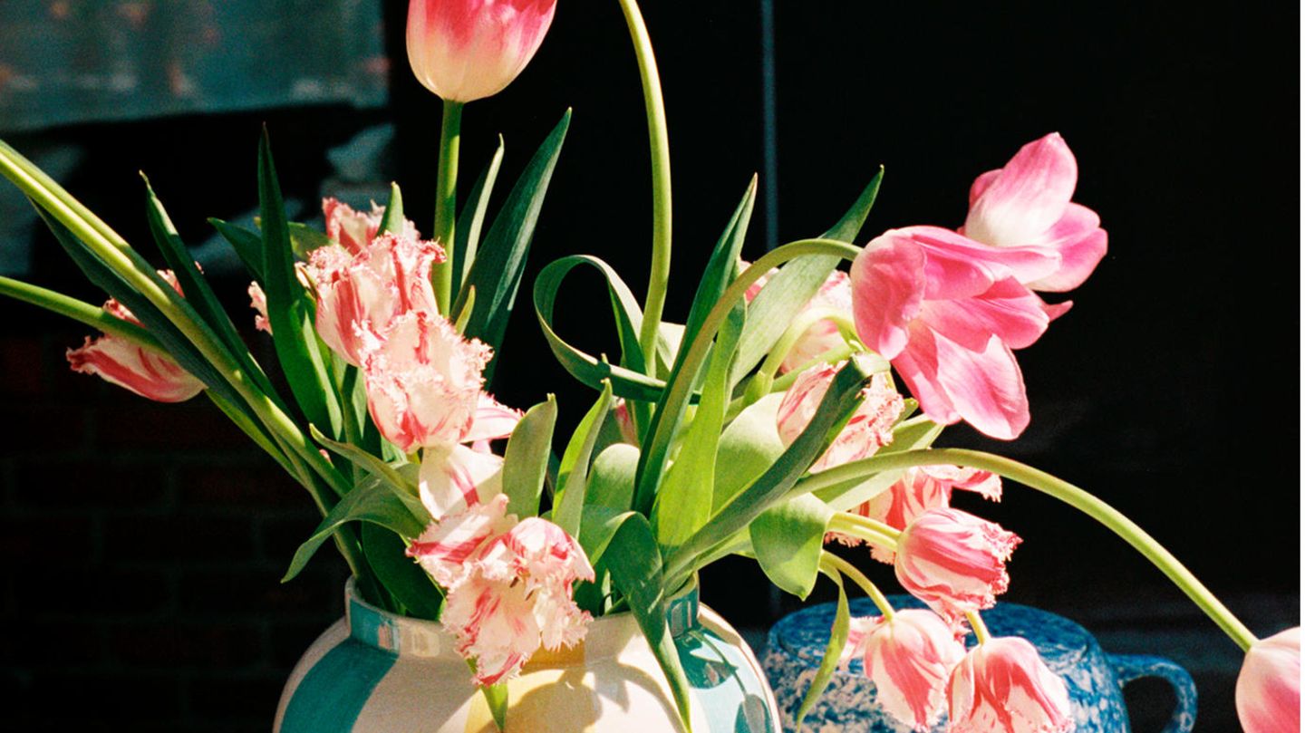 Frühling für die Küche - [SCHÖNER WOHNEN]