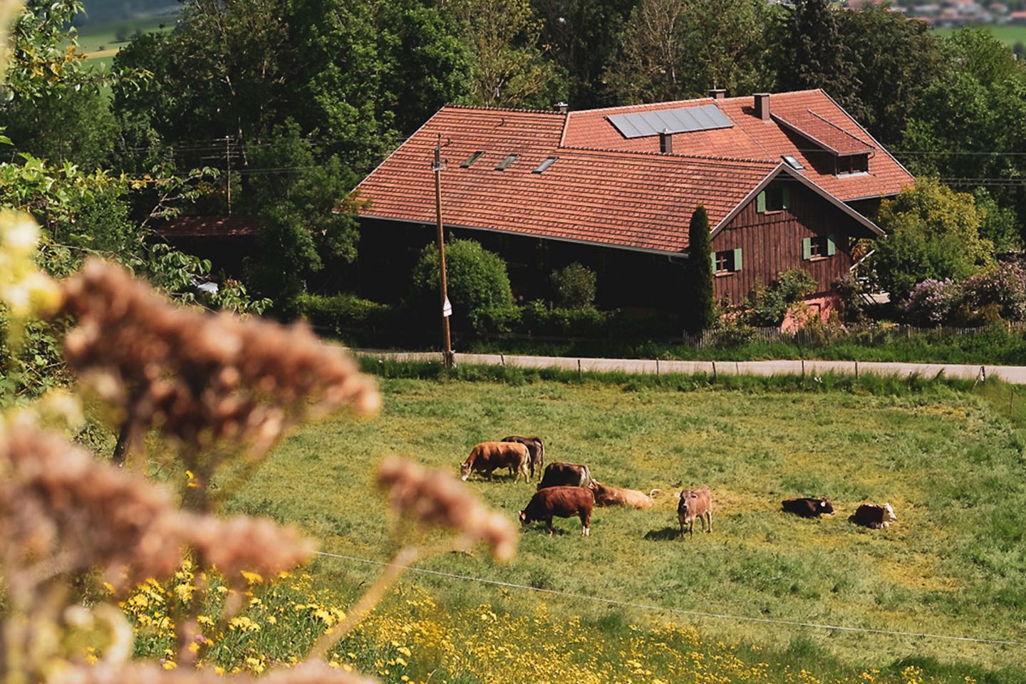 Ferienhaus "Rosso", Allgäu