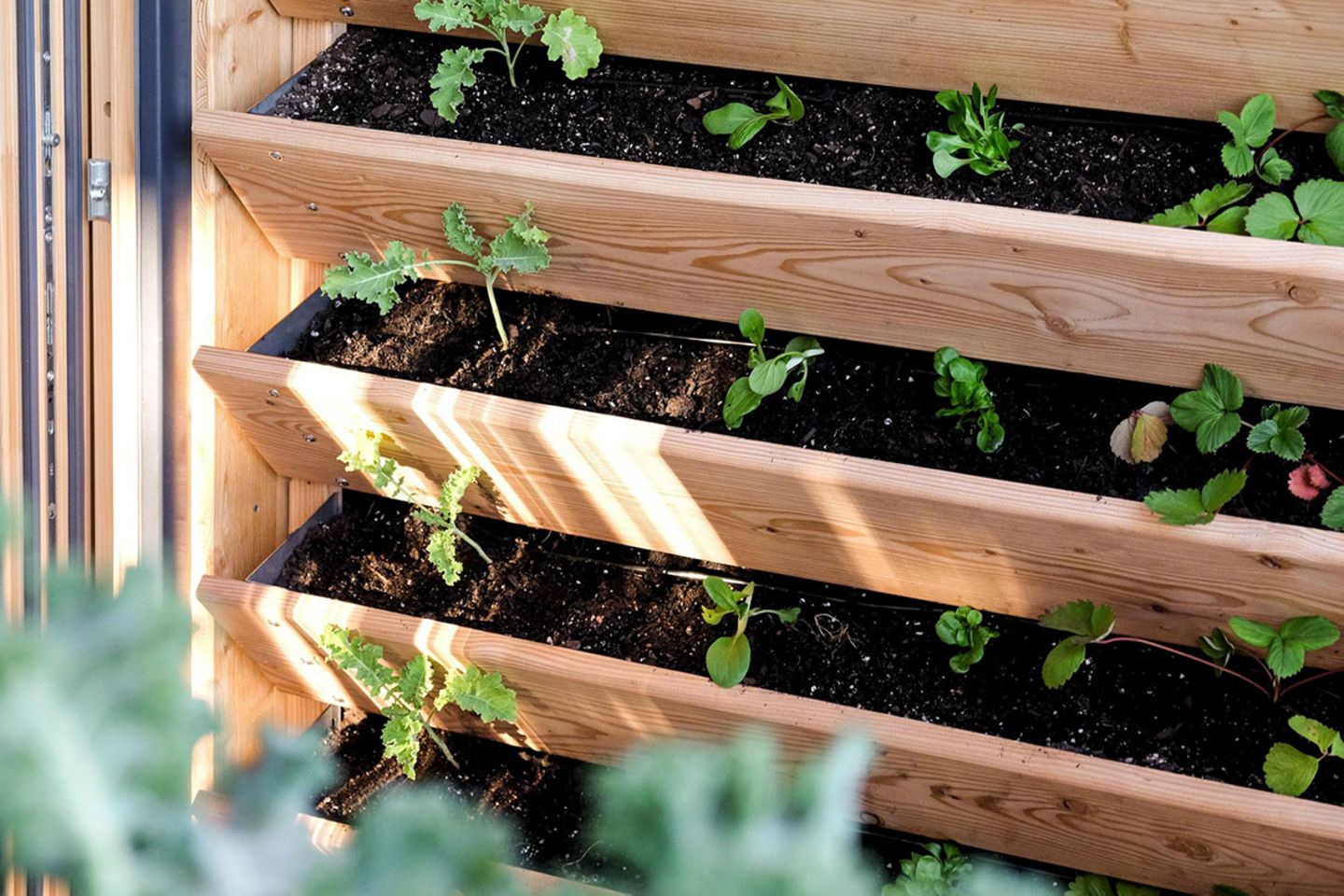 Vertikalbeet auf der Terrasse