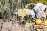 Zwiesel Glas Sommerdeko