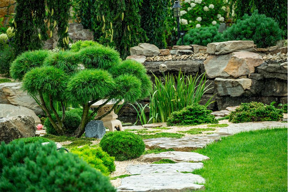 Japanisch inspirierter Garten mit Steinen und Gehölz