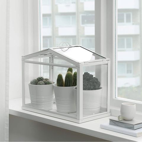 MiniGewächshaus von Ikea Bild 2 [SCHÖNER WOHNEN]