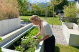 Haus Schliersee: Hochbeet im Garten