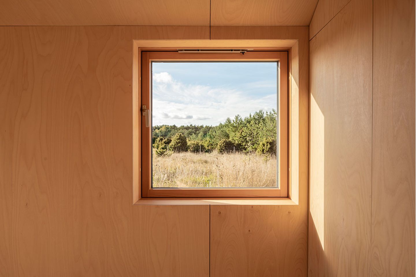 Fenster mit Wandverkleidung aus Birkensperrholz