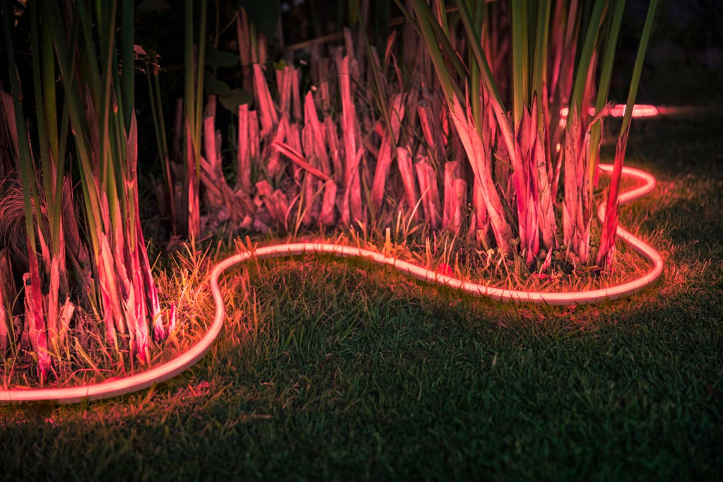 Geschlängelter, rot leuchtender LED-Lightstrip im Garten