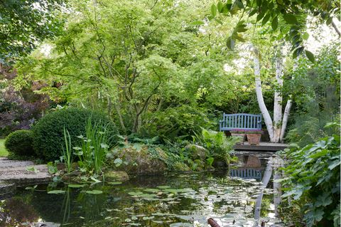 Ruheoase unter Bäumen am Gartenteich