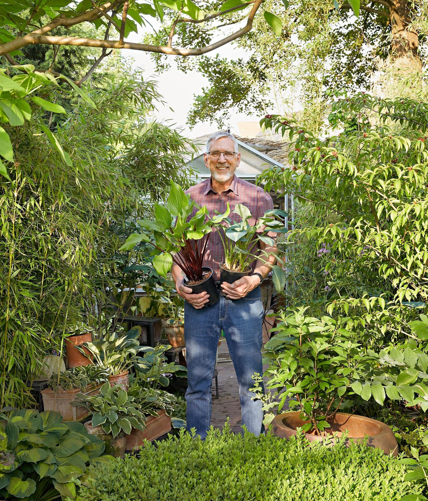 Gartenarchitekt Reiner Blohm in seinem grünen Schattengarten
