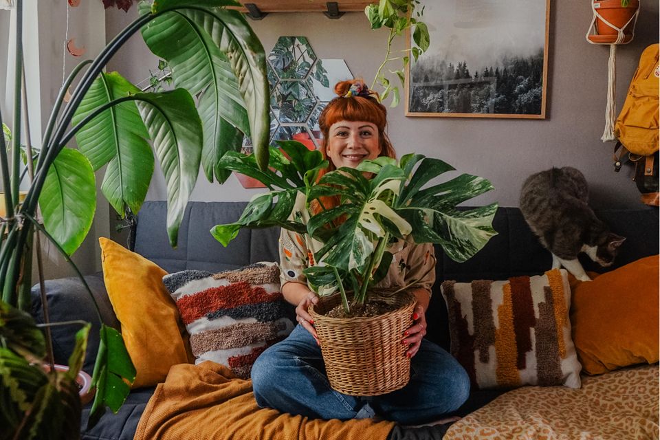 Zimmerpflanzen und Instagram - [SCHNER WOHNEN]