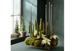 Adventskranz aus Moosen mit Kerzen und Weihnachtssternen