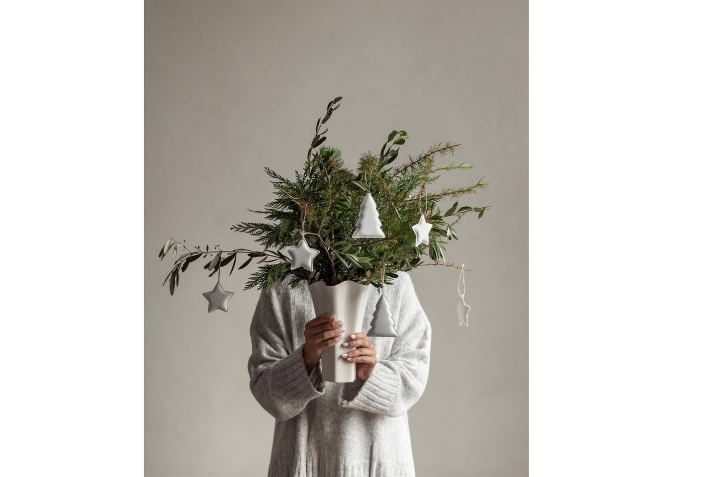 olivenbaum temperatur Olivenbaum Olea Europaea XL  vielgrn