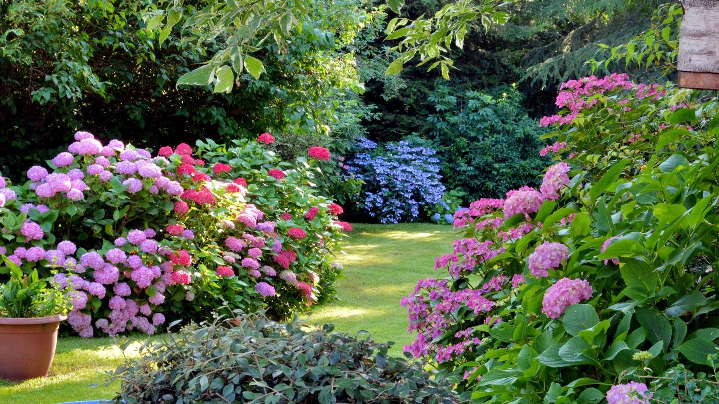 20 Tolle Gartenbar Ideen für Sie, die Sie sich unbedingt ansehen