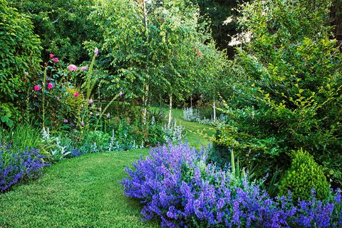 Kleinen romantischen Garten gestalten [SCHÖNER WOHNEN]