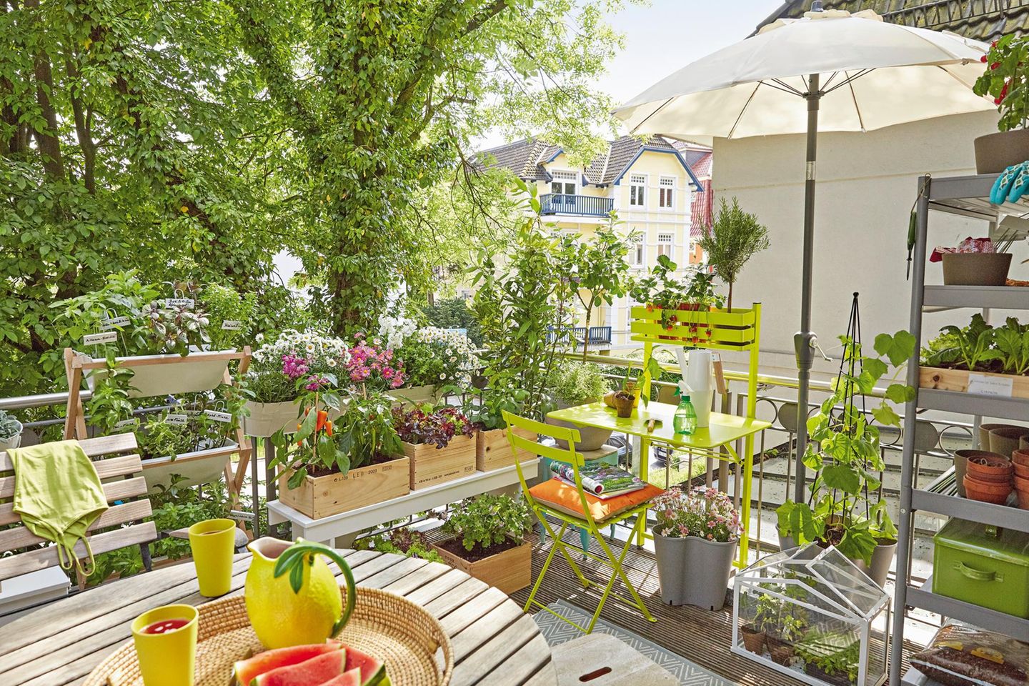 Pflanzregal als Sichtschutz