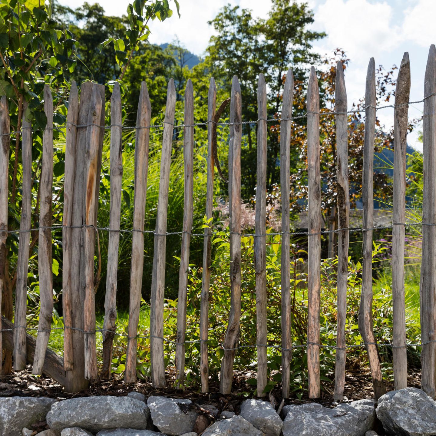 Günstige SichtschutzIdeen für den Garten [SCHÖNER WOHNEN]