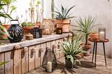 Boho-Terrasse mit Windlichtern, Laternen und Pflanzen