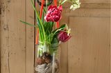 Glas mit Tulpen und Narzissen an Kordel aufgehängt