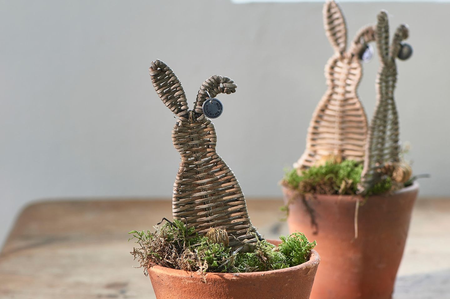 Osterhasen für den Blumentopf